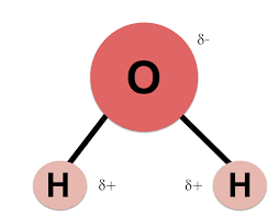 diagram of a water molecule